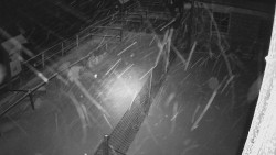 Terasa horského hotelu