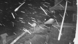 Terasa horského hotelu