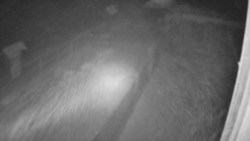 Terasa horského hotelu