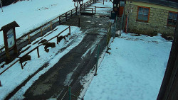 Terasa horského hotelu