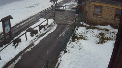 Terasa horského hotelu