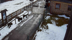 Terasa horského hotelu