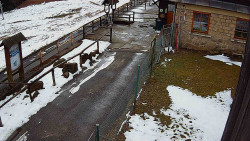 Terasa horského hotelu