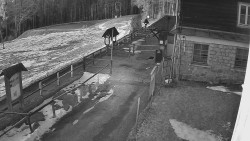 Terasa horského hotelu