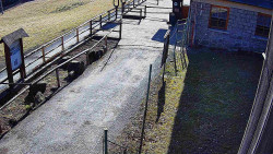 Terasa horského hotelu