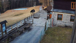 Terasa horského hotelu
