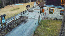 Terasa horského hotelu