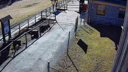 Terasa horského hotelu