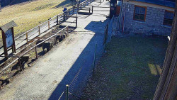 Terasa horského hotelu