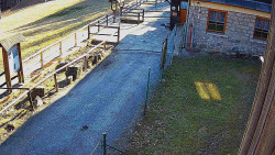 Terasa horského hotelu