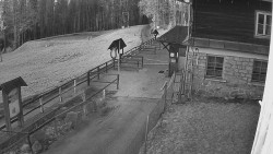 Terasa horského hotelu