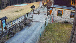 Terasa horského hotelu