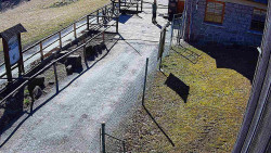 Terasa horského hotelu