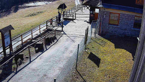 SkiAreál - Horský hotel Vsacký Cáb - Terasa horského hotelu - 9.3.2026 v 12:00 SkiAreál - Horský hotel Vsacký Cáb - Terasa horského hotelu - 9.3.2026 v 12:00