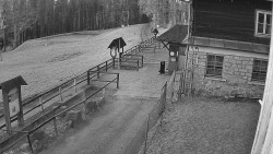 Terasa horského hotelu