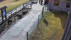 Terasa horského hotelu