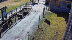 Terasa horského hotelu