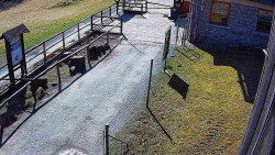 Terasa horského hotelu