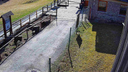 Terasa horského hotelu