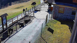 Terasa horského hotelu