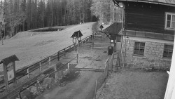 Terasa horského hotelu