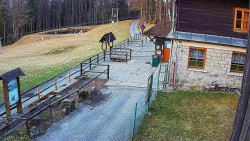 Terasa horského hotelu