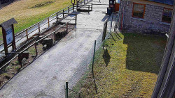 Terasa horského hotelu