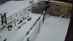 Terasa horského hotelu