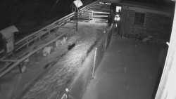 Terasa horského hotelu