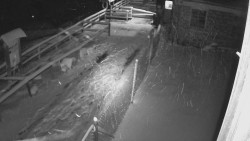 Terasa horského hotelu