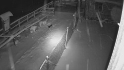 Terasa horského hotelu