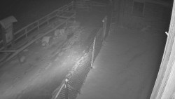 Terasa horského hotelu