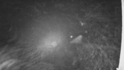 Terasa horského hotelu