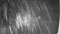 Terasa horského hotelu