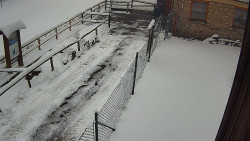 Terasa horského hotelu