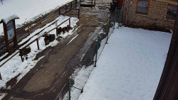 Terasa horského hotelu