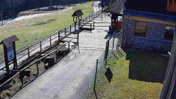 Terasa horského hotelu