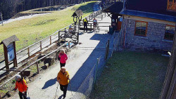 Terasa horského hotelu