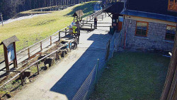 Terasa horského hotelu