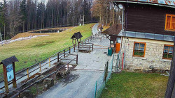 Terasa horského hotelu