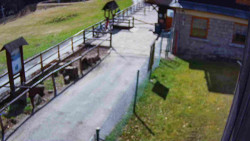 Terasa horského hotelu