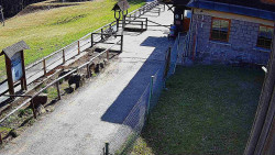 Terasa horského hotelu