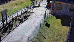 Terasa horského hotelu