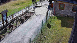 Terasa horského hotelu