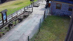 Terasa horského hotelu