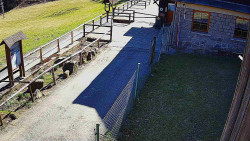 Terasa horského hotelu