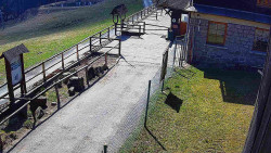 Terasa horského hotelu