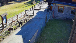 Terasa horského hotelu