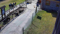 Terasa horského hotelu