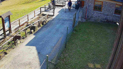 Terasa horského hotelu